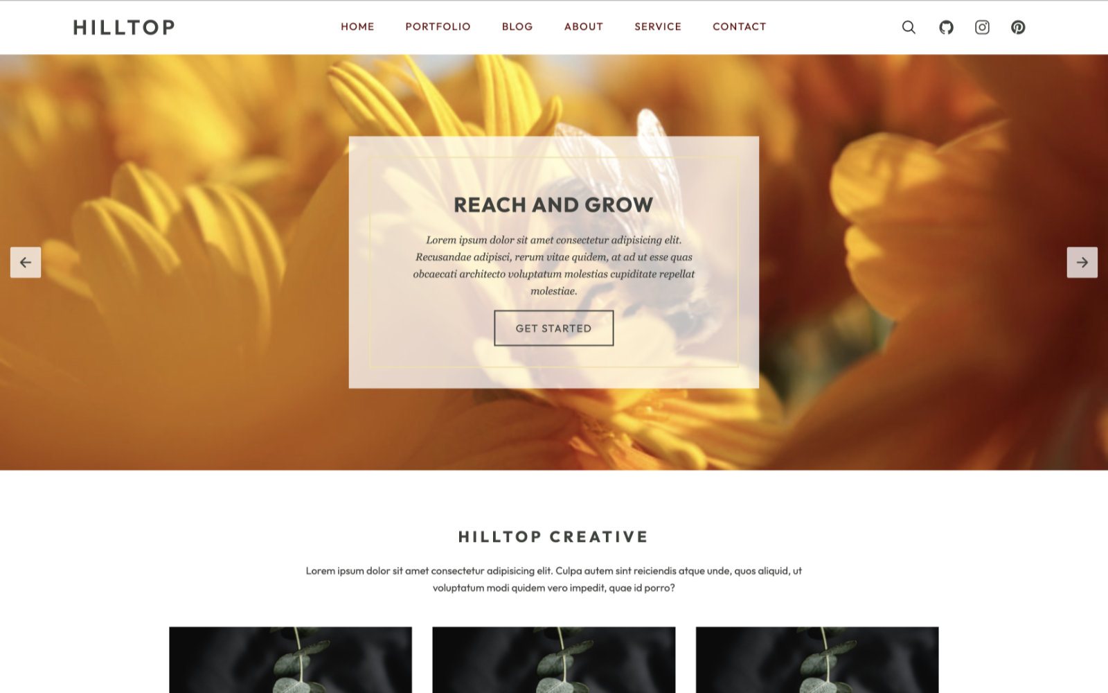 Screenshot of project portfolio website