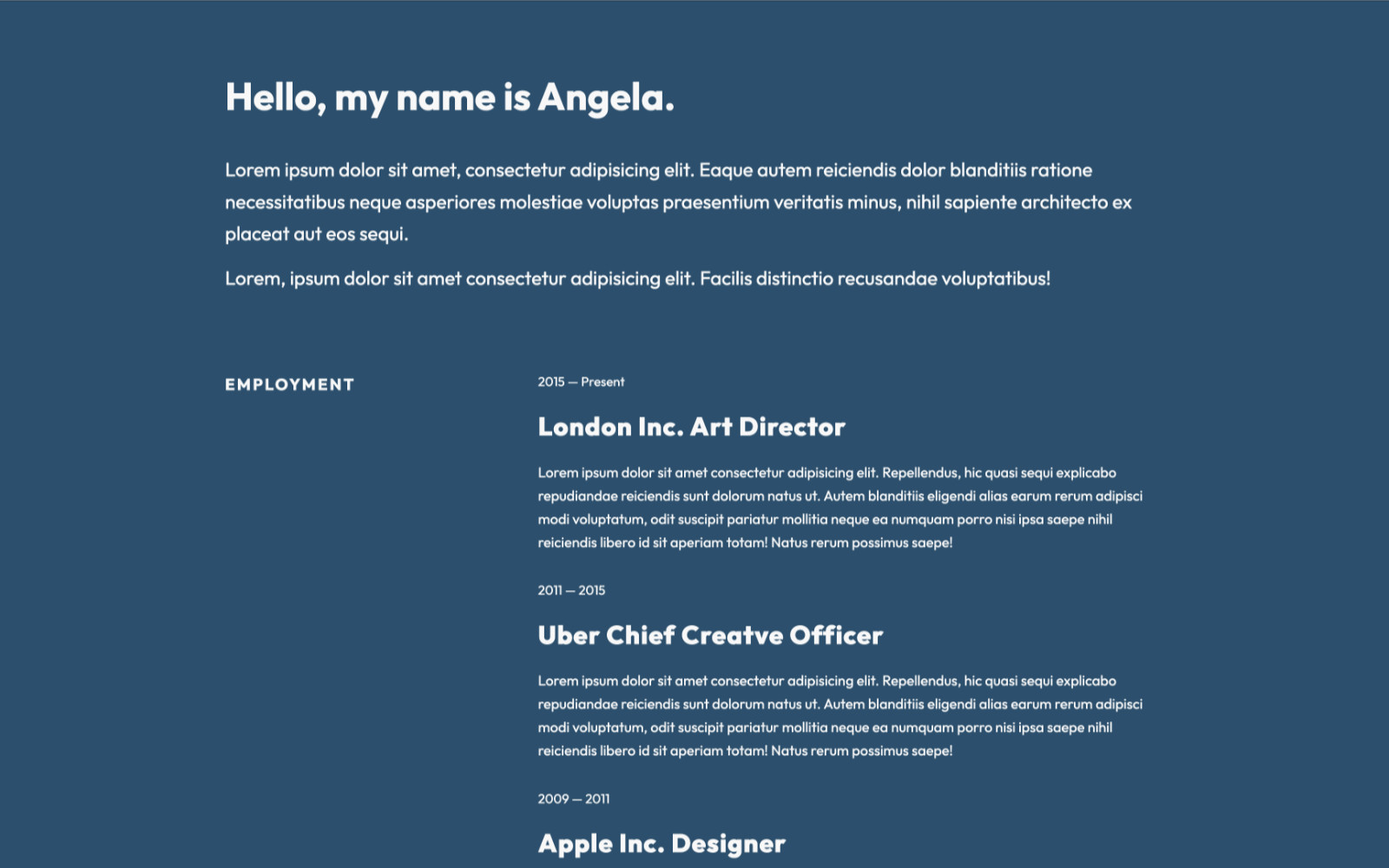 Screenshot of project portfolio website