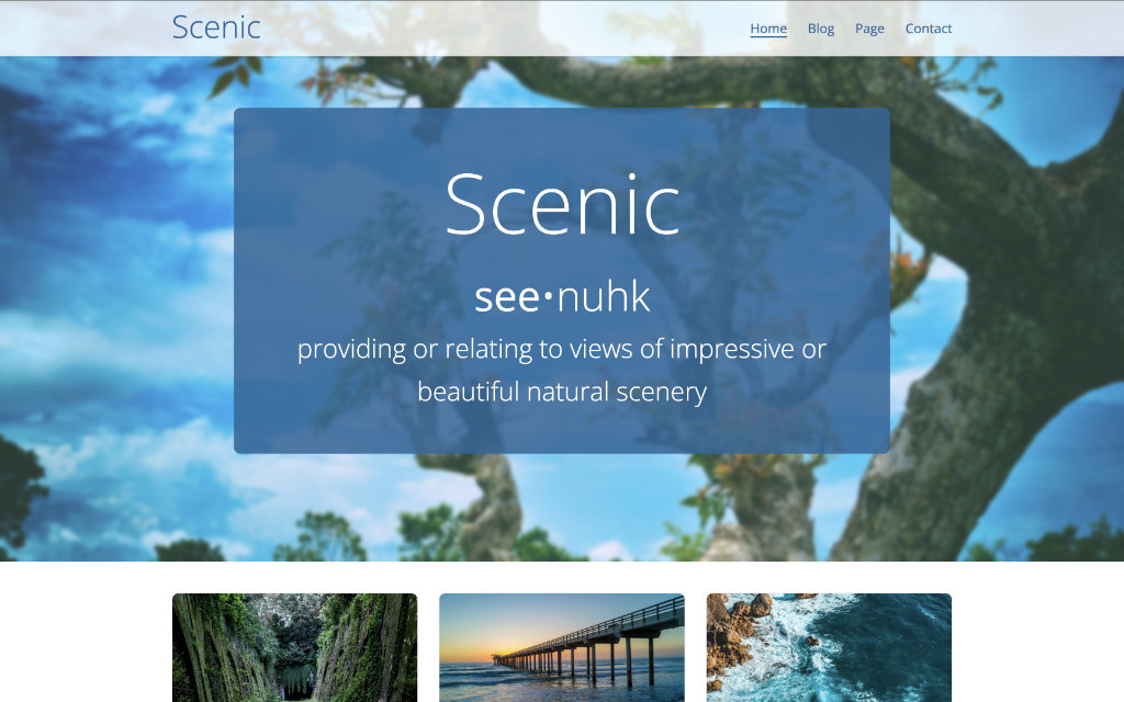 Screenshot of Scenic demo website